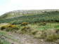 Heughscar Hill